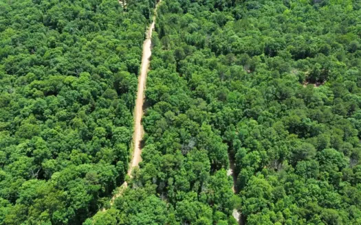 Timberland For Sale In North Central Arkansas