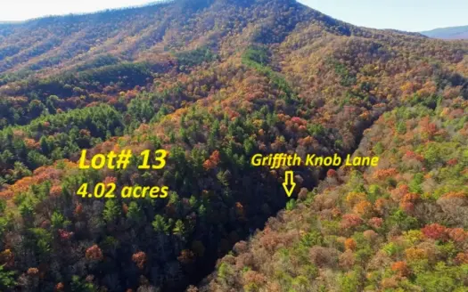 Land For Sale Near National Forest In Wytheville VA