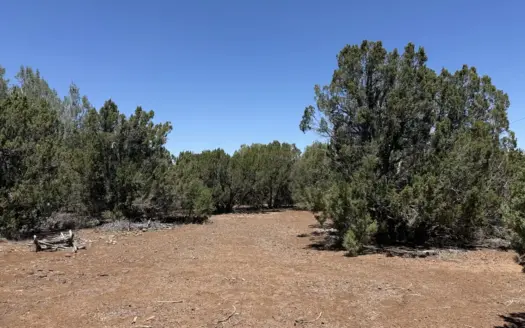 Arizona Land with Lake Privileges for Sale