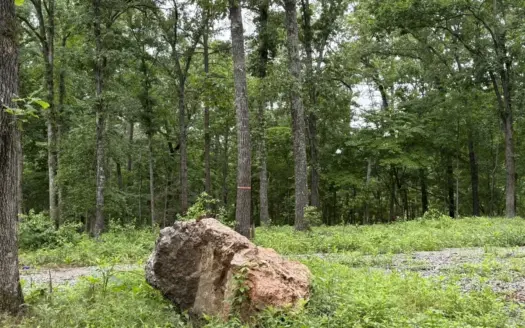 Pristine Unrestricted Acreage in Baxter County