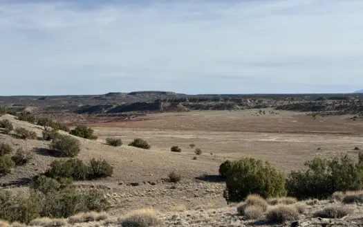 Eastern Arizona Off-grid Land for Sale Near St. Johns