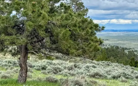 Rimrock Ridge Ranch for Sale | 8670±  Acres | Billings, MT