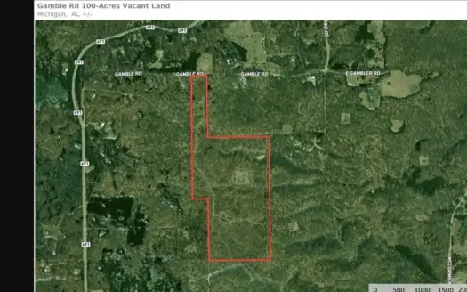 100 Acres in Atlanta, MI – Prime Hunting Land with Road Frontage