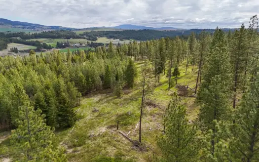 Captivating 53.56 Acres 10 Min to Downtown Spokane!