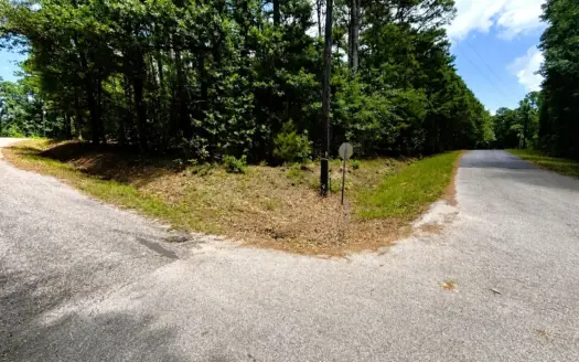 1.56 Acre Lots in Horseshoe Bend Winnsboro, TX East of Dallas