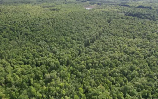 120 ± Acres Bordering Chequamegon National Forest, WI