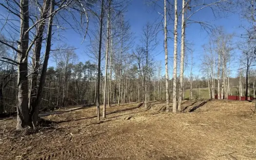 Building Lots Available at Spring Creek Airpark!