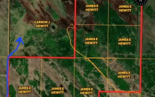 417 Acres of Whitetail Hunting Land for Sale in Kittson CO, MN
