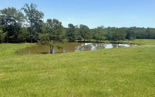 Rolling Hills Pastureland and Wooded land for sale