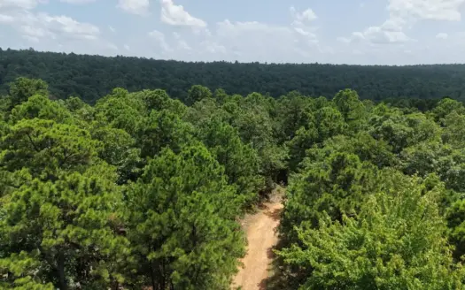 25 Acre Mountain and Hunting Property FOR SALe