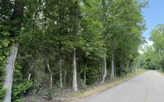 Land For Sale In Tn, 5.64 Acres+/- In Mcnairy County, Tn