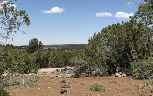 Lot with Lake Privileges Septic & Water Installed