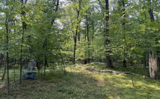 Building or Camping Lot For Sale in Willow River, MN