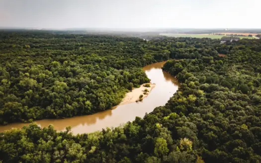 The Sand Bar 77 | 77 Acres | Montezuma, GA