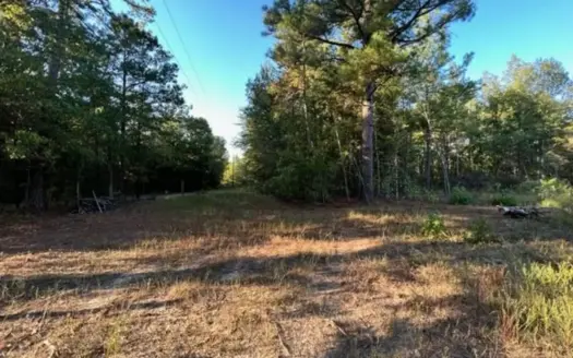 Hunting and Recreational Land In Upshur County