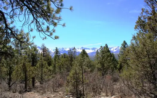 35-Acre Colorado Mountain Property Near Ridgway & Telluride