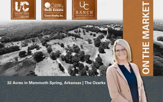 32 Acres for Sale in Mammoth Spring | The Arkansas Ozarks