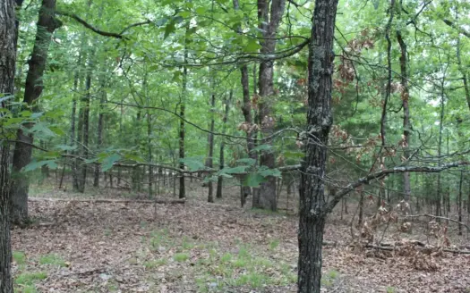 Secluded Lot 9B near Country Club in Theodosia, MO