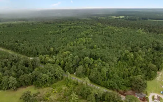 153-Acre Timberland for Sale in Edward, NC