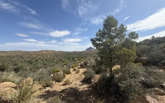 40 Acres of High Desert Land near Kingman AZ