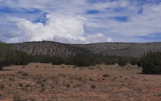 Conveniently located Northern AZ off Grid property