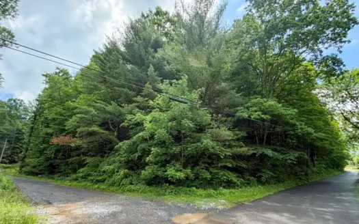 Elevated wooded lot to build cabin in Southwest Virginia