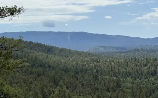 Stunning Off Grid land with a private well