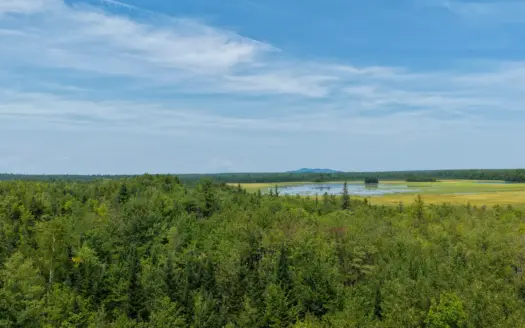 516 Acres Bordering State Wildlife Management Area