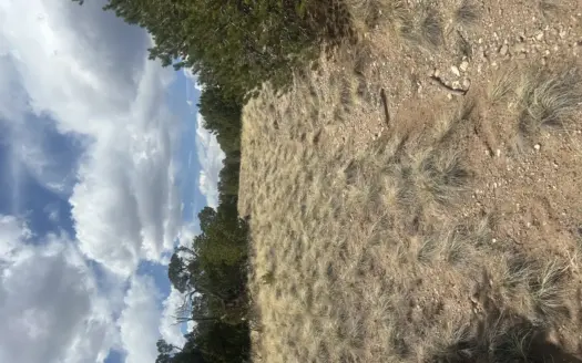 Mountain Property Located Near Gardner Colorado