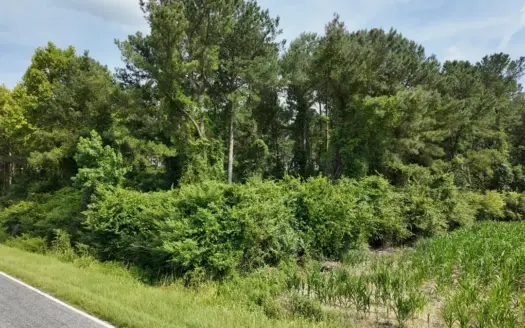 28.24± Acres of Timberland & Cropland in NC