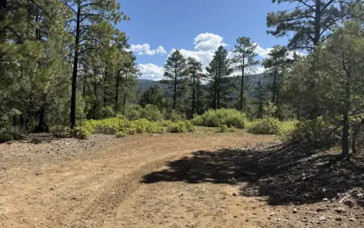 Land for sale with great views with power and shared well and pad