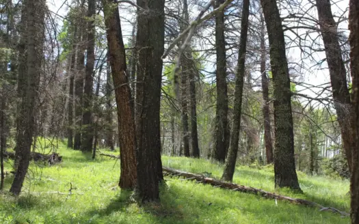 Mountain Property For Sale with Endless Outdoor Adventure Awaits