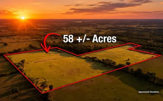 58 ± Acre Hay Meadow in Winnsboro Wood County East Texas Land