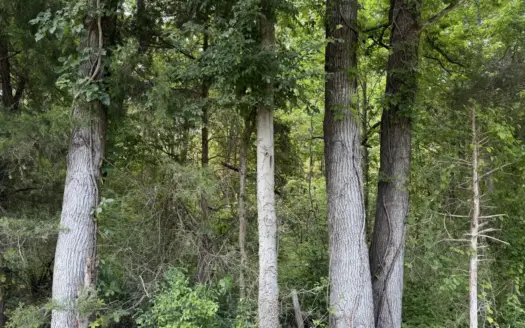 Land For Sale In Tn, 6.06 Acres+/-, Creek, Wooded