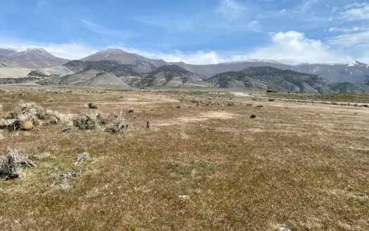 9.98 Acre Residential Lot Near State Recreation Area