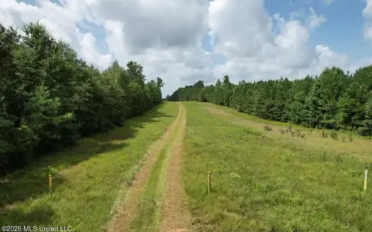 26± Acres in Greensburg, LA on Black Creek