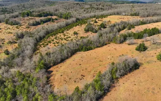 40 Acres of Land for Sale in Gainesville, Missouri