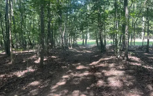 85.5 Acres of Prime Tennessee Land!