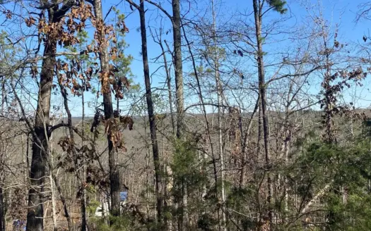 Rural Land For Sale In Arkansas