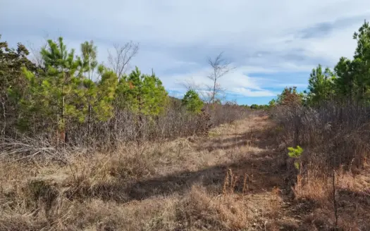 69 Acre Poteau Mountain Recreational Property