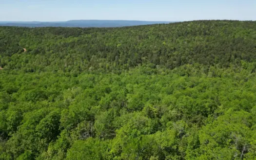 Mountain Land for Sale in Albion, Oklahoma