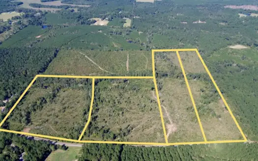 Affordable Lincoln Parish Land for Sale – Tract 1