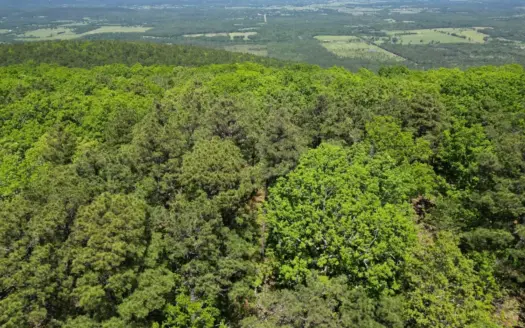 Land with Creek for Sale in Albion, Oklahoma