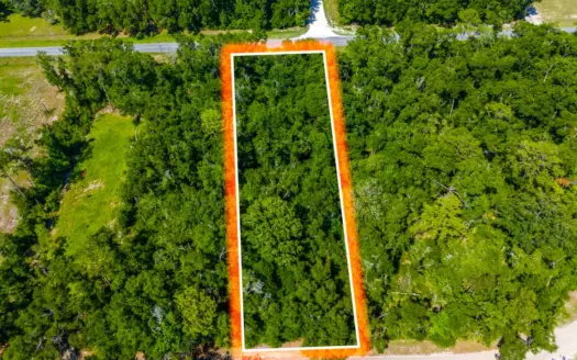 Vacant Land for Sale Near Suwannee River