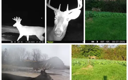 50-Acre Outdoor Investment Property in Monroe County | Fishing