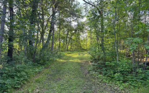 8 Acres with 400′ Frontage on the Moosehorn River in Moose Lake