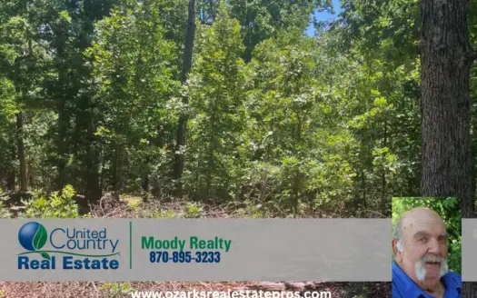 Off Grid Property Near Hardy Arkansas