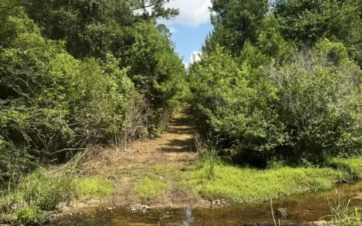 Cotton House Tract: premier 545ac hunting & recreational property
