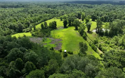 Camp and 61 Acres of Premier Recreational Land Lawrence County MS
