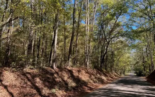 51.52 Acres Land for Sale Near McComb MS